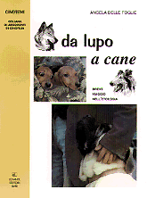 DA LUPO A CANE. BREVE VIAGGIO NELL'ETOLOGIA